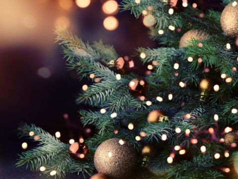 Συναυλία στο πολιτιστικό κέντρο Μίκης Θεοδωράκης